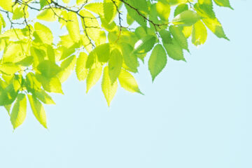 「高次脳機能障害者支援法」の成立にあたって