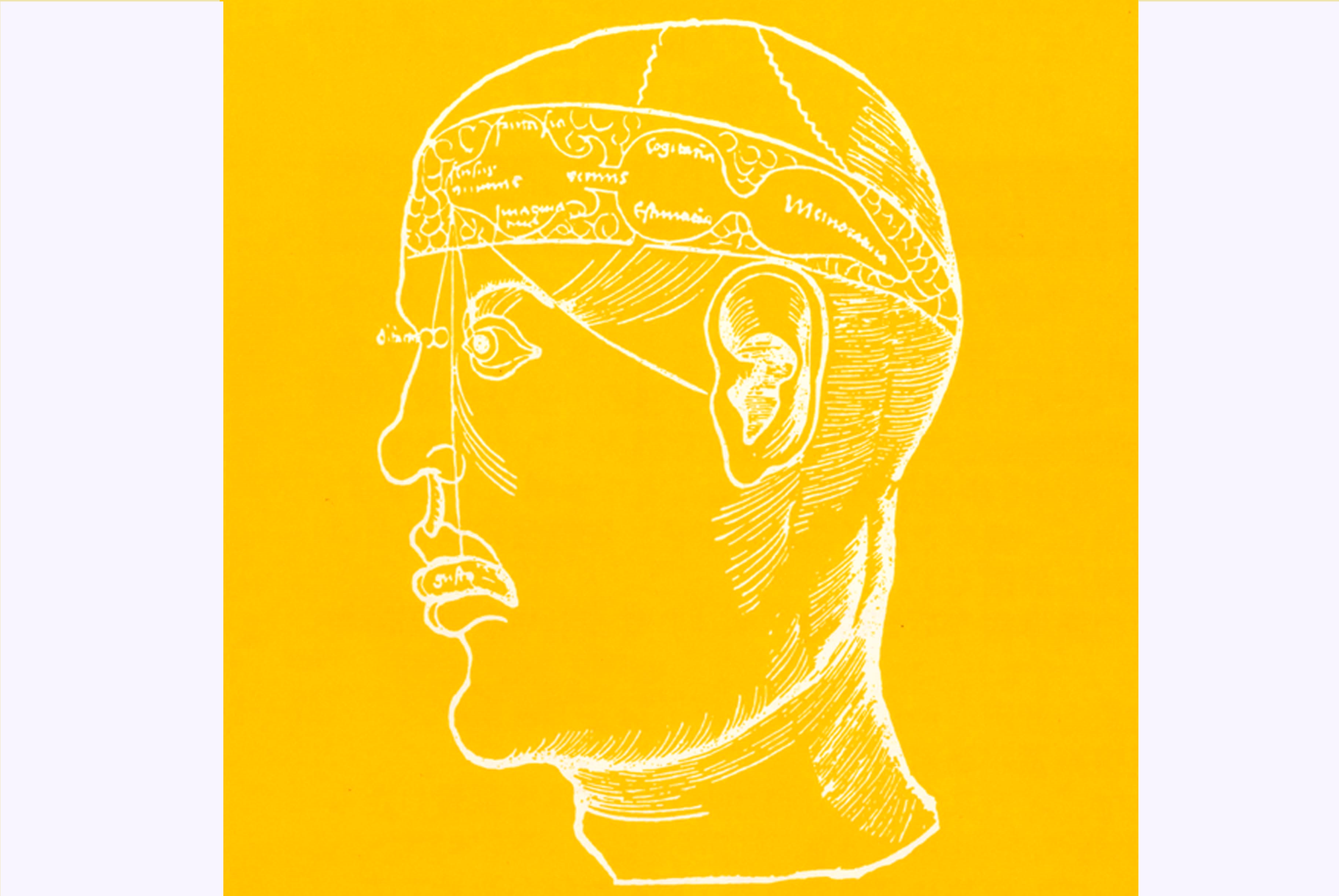 高次脳機能研究 バイリンガル化のお知らせ